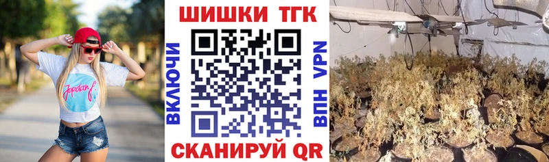 ссылка на мегу ССЫЛКА  Кировград  Бошки марихуана гибрид  продажа наркотиков 